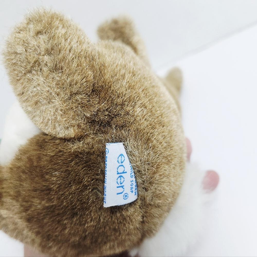 Peter Rabbit - Picture 6 of 7